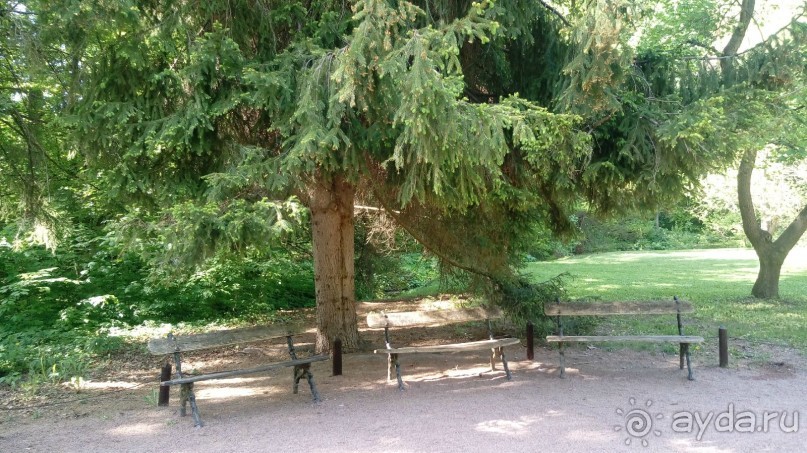 г. Умань. Парк 