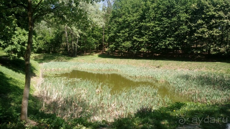 г. Умань. Парк 