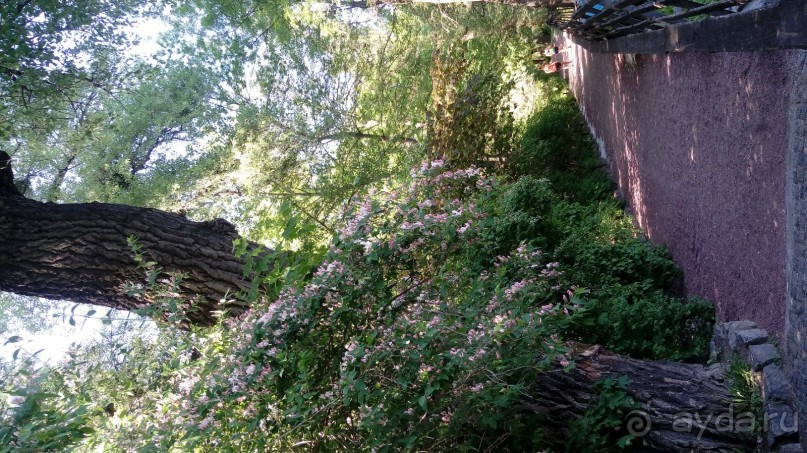 г. Умань. Парк 