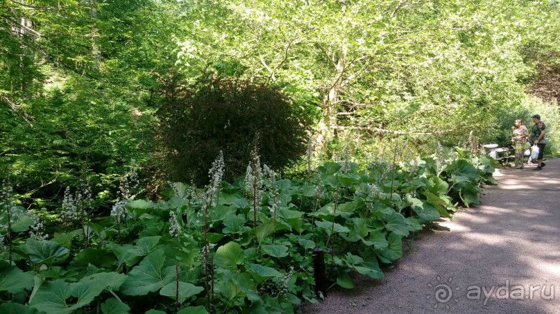 г. Умань. Парк 