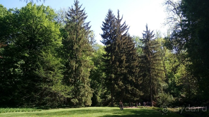 г. Умань. Парк 