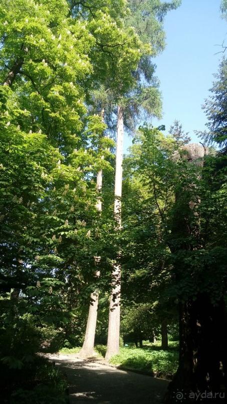 г. Умань. Парк 