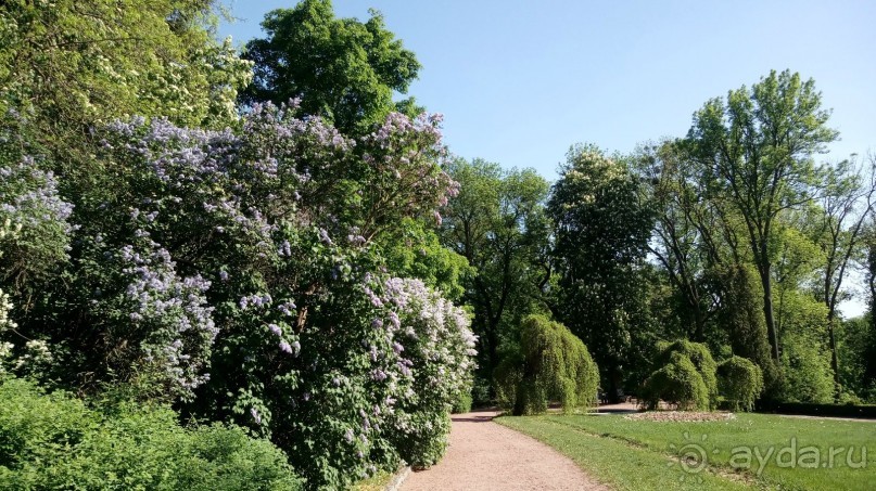 г. Умань. Парк 