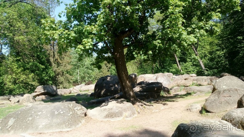 г. Умань. Парк 