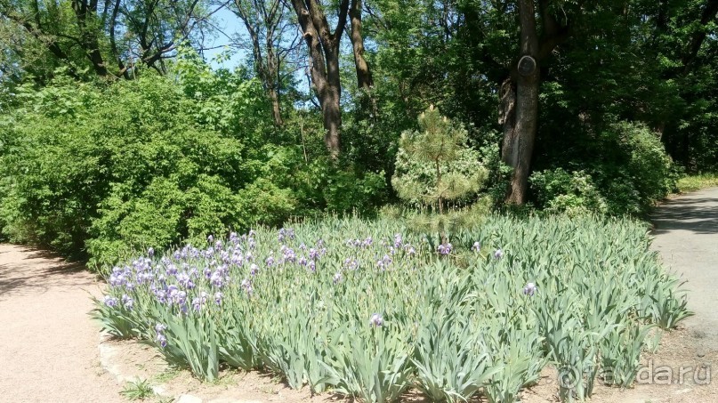 г. Умань. Парк 