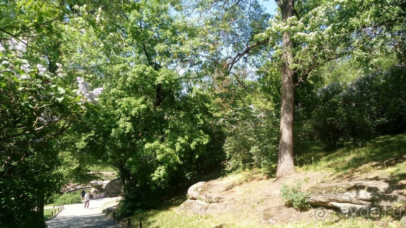 г. Умань. Парк 