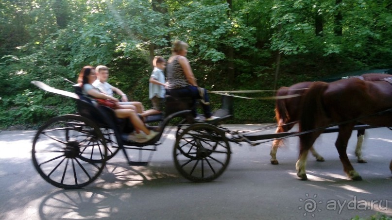 г. Умань. Парк 