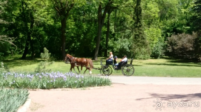 г. Умань. Парк 