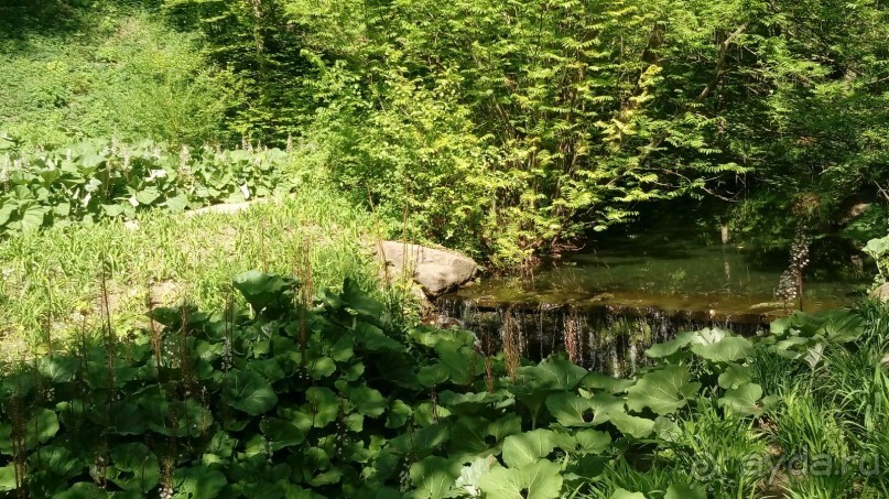 г. Умань. Парк 