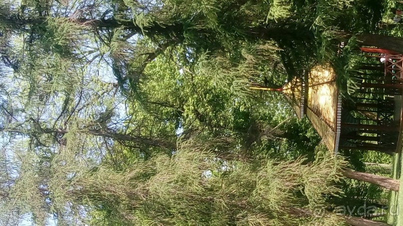 г. Умань. Парк 