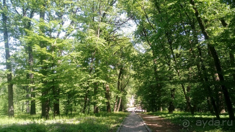 г. Умань. Парк 