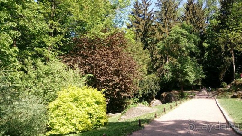 г. Умань. Парк 