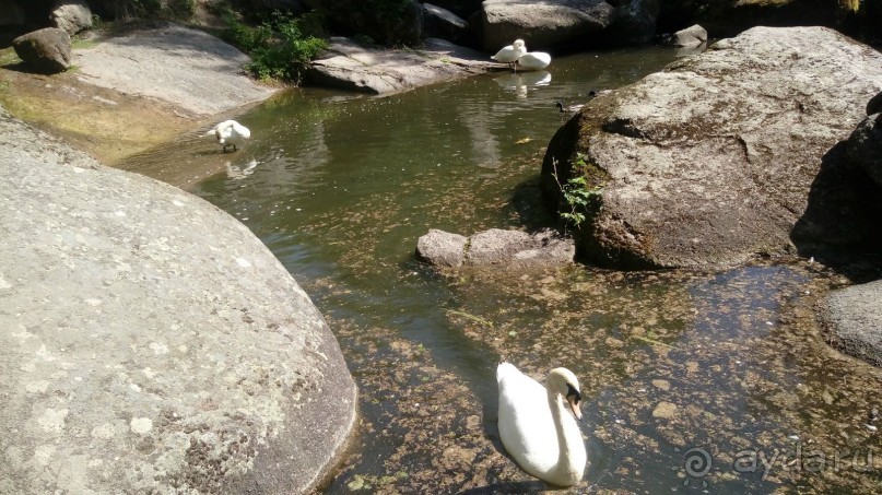 г. Умань. Парк 