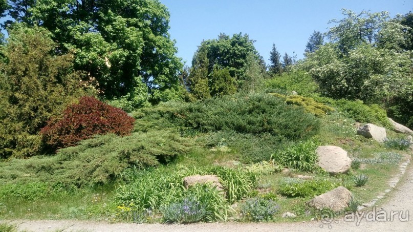 г. Умань. Парк 