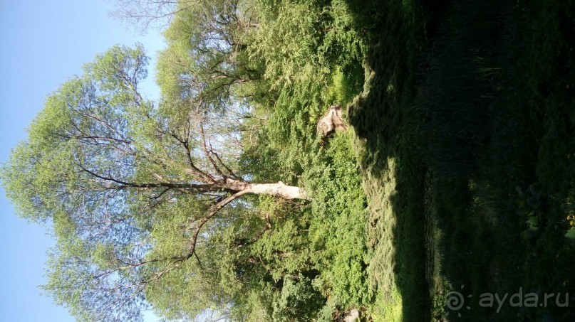 г. Умань. Парк 