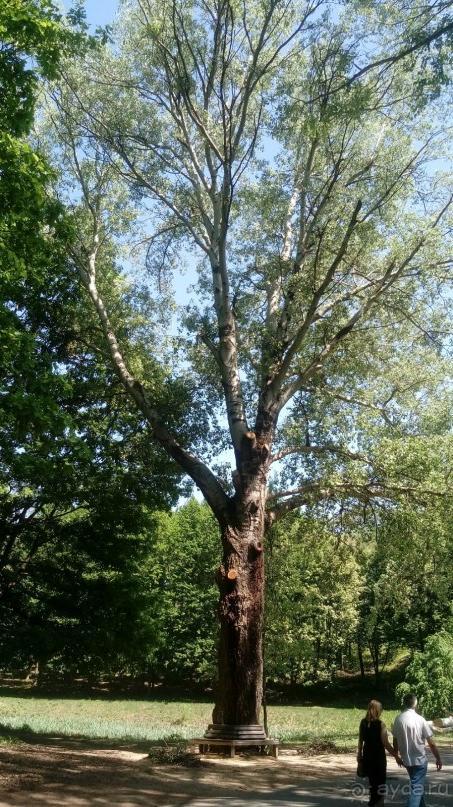 г. Умань. Парк 