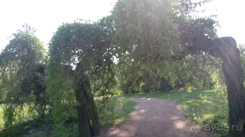 г. Умань. Парк 