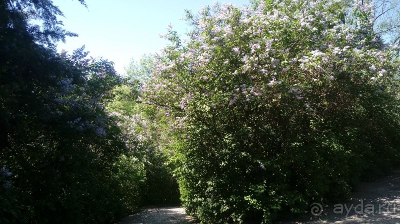 г. Умань. Парк 