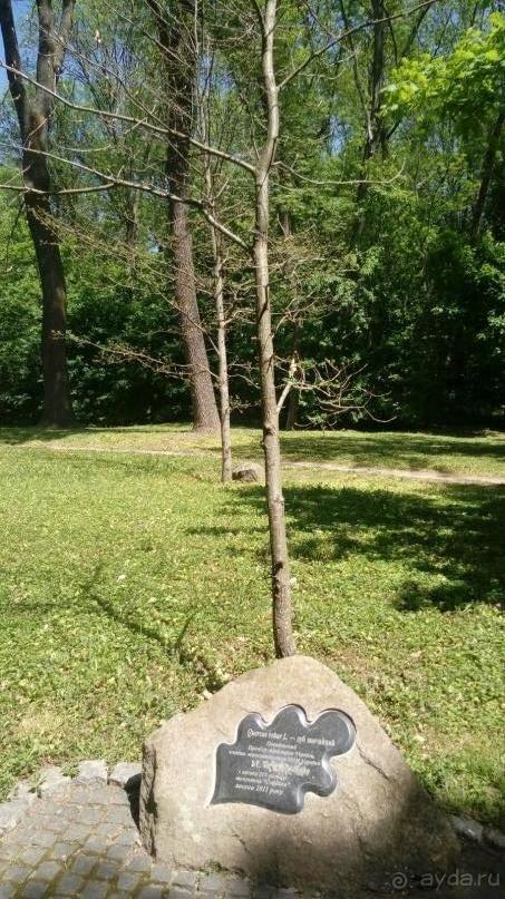 г. Умань. Парк 