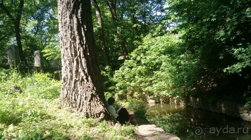 г. Умань. Парк 