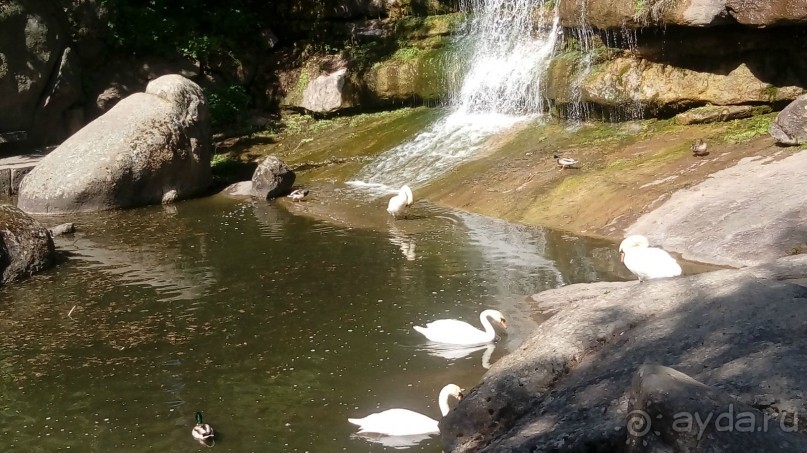 г. Умань. Парк 