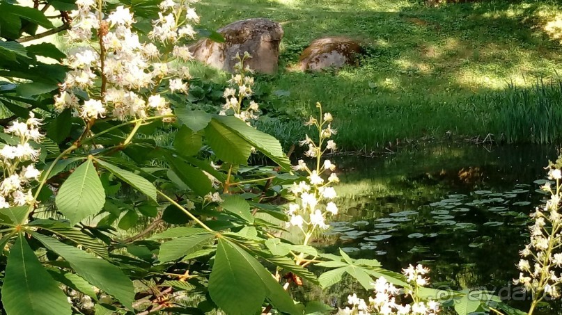 г. Умань. Парк 