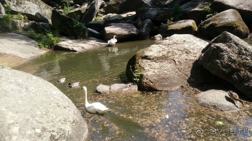 г. Умань. Парк 