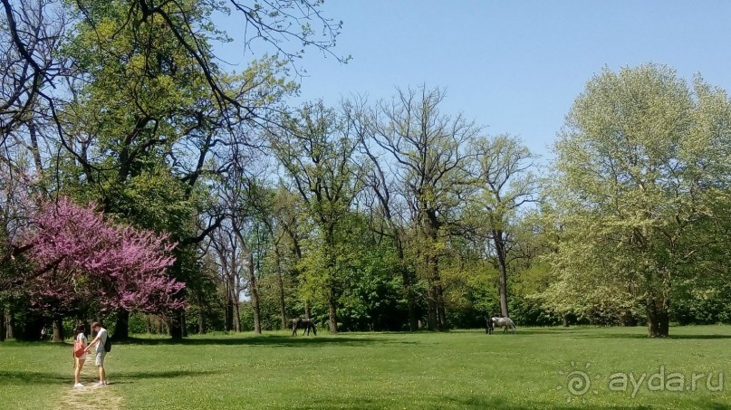 г. Умань. Парк 