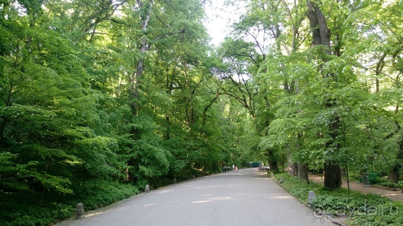 г. Умань. Парк 