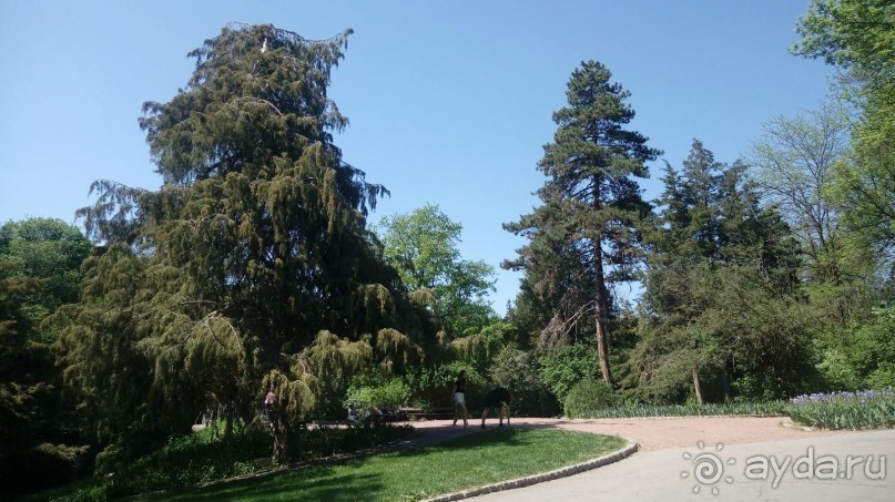 г. Умань. Парк 