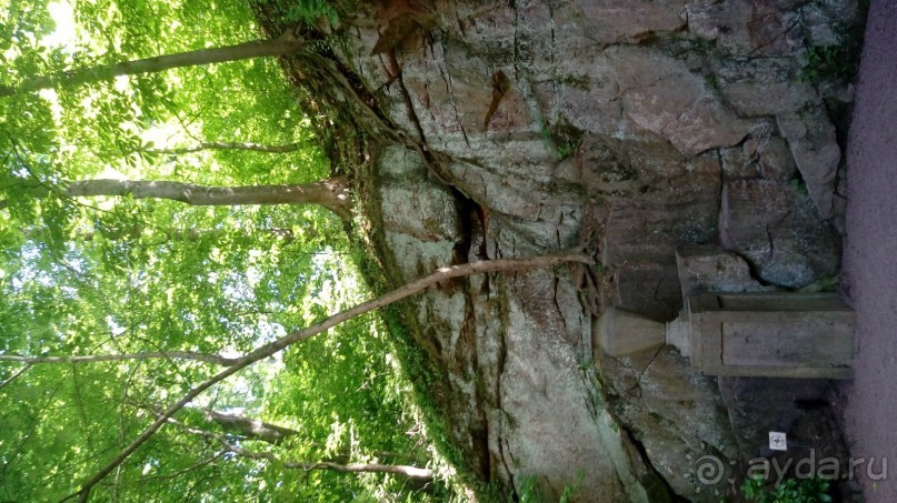 г. Умань. Парк 