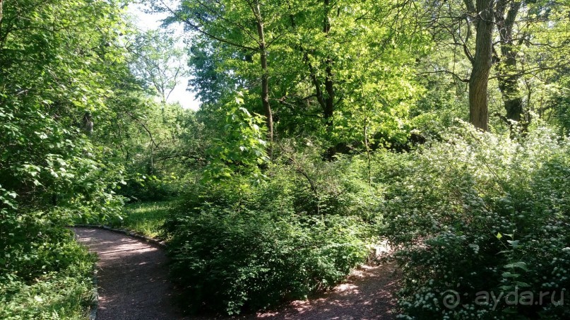 г. Умань. Парк 