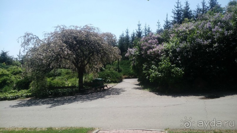 г. Умань. Парк 