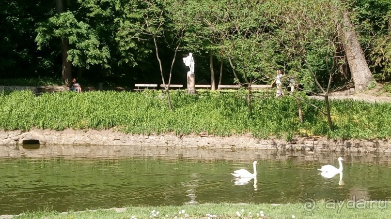 г. Умань. Парк 