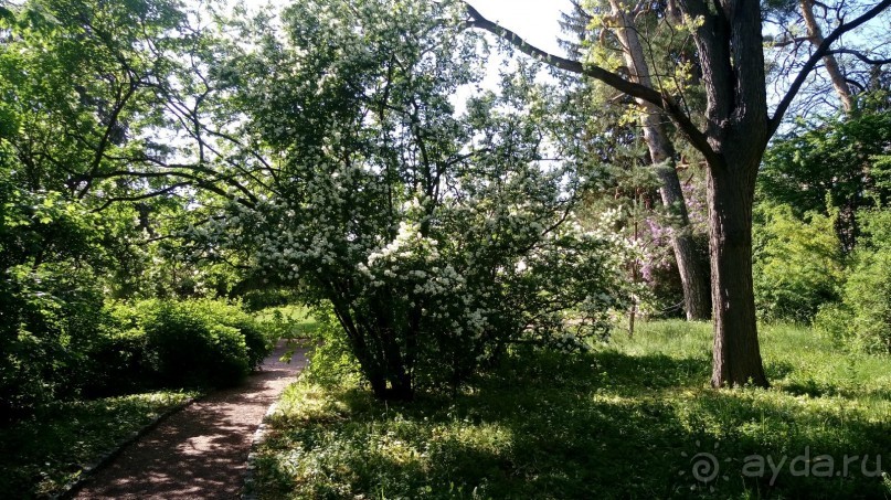 г. Умань. Парк 