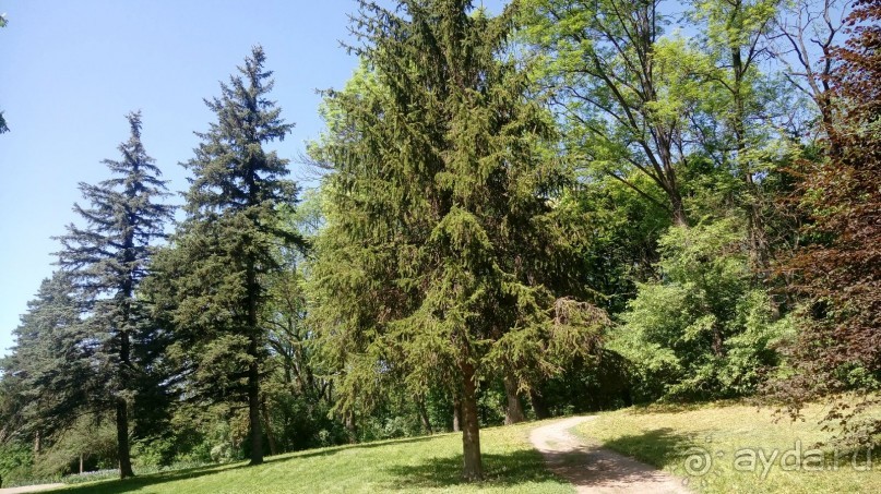 г. Умань. Парк 