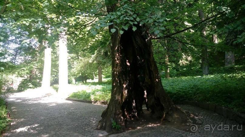 г. Умань. Парк 