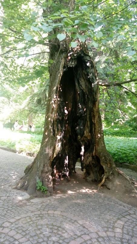 г. Умань. Парк 