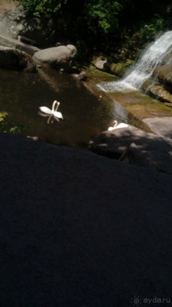 г. Умань. Парк 