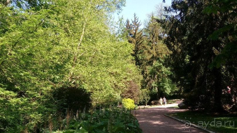 г. Умань. Парк 