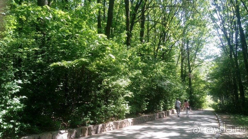 г. Умань. Парк 