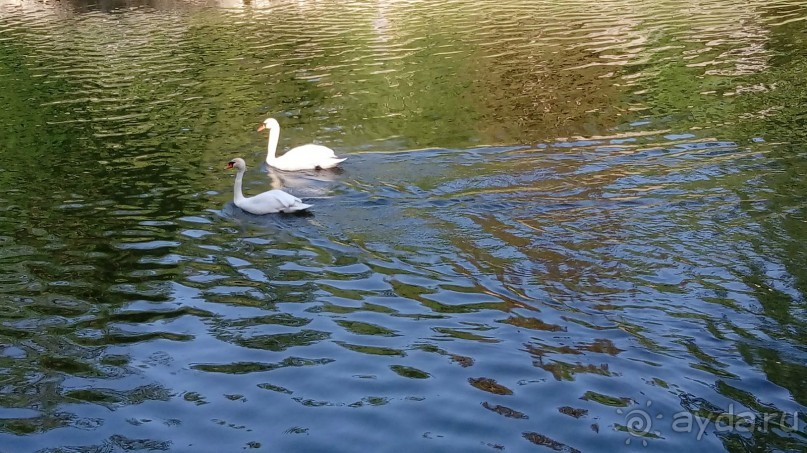 г. Умань. Парк 