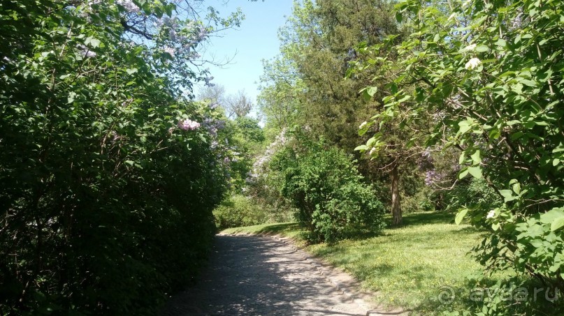 г. Умань. Парк 