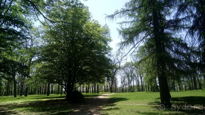 г. Умань. Парк 