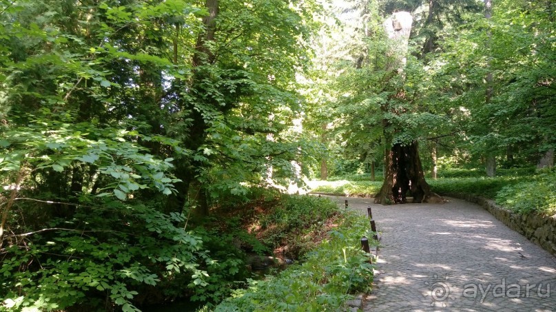 г. Умань. Парк 