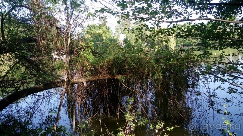 г. Умань. Парк 