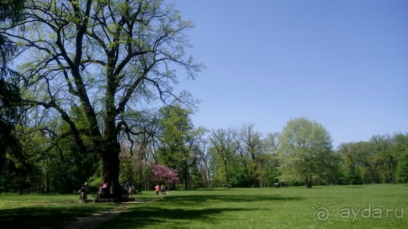 г. Умань. Парк 