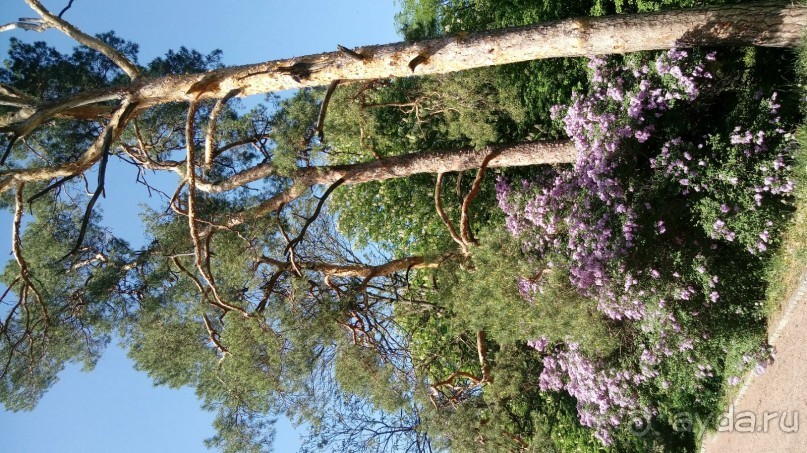 г. Умань. Парк 