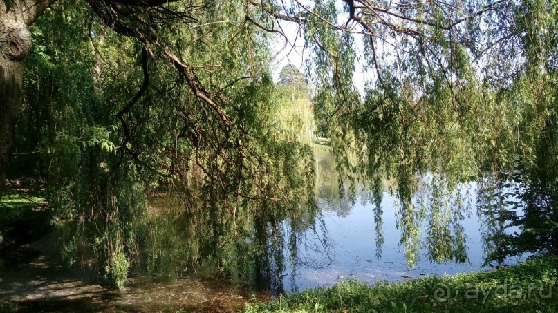 г. Умань. Парк 