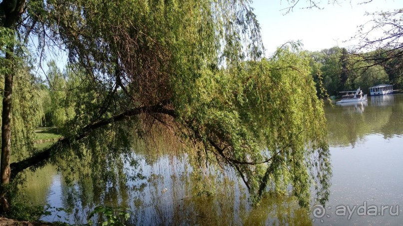 г. Умань. Парк 